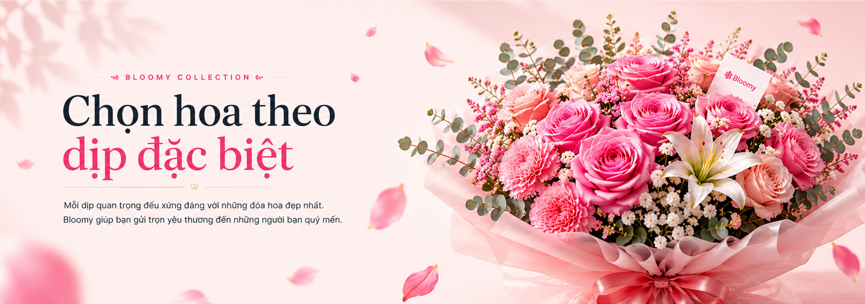 Dịp đặc biệt - Bloomy